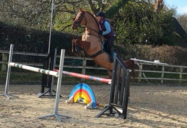 NHeventing's tweet photo. New boy can certainly jump! #holdontight #noscopenohope https://t.co/9NRxKALqn2