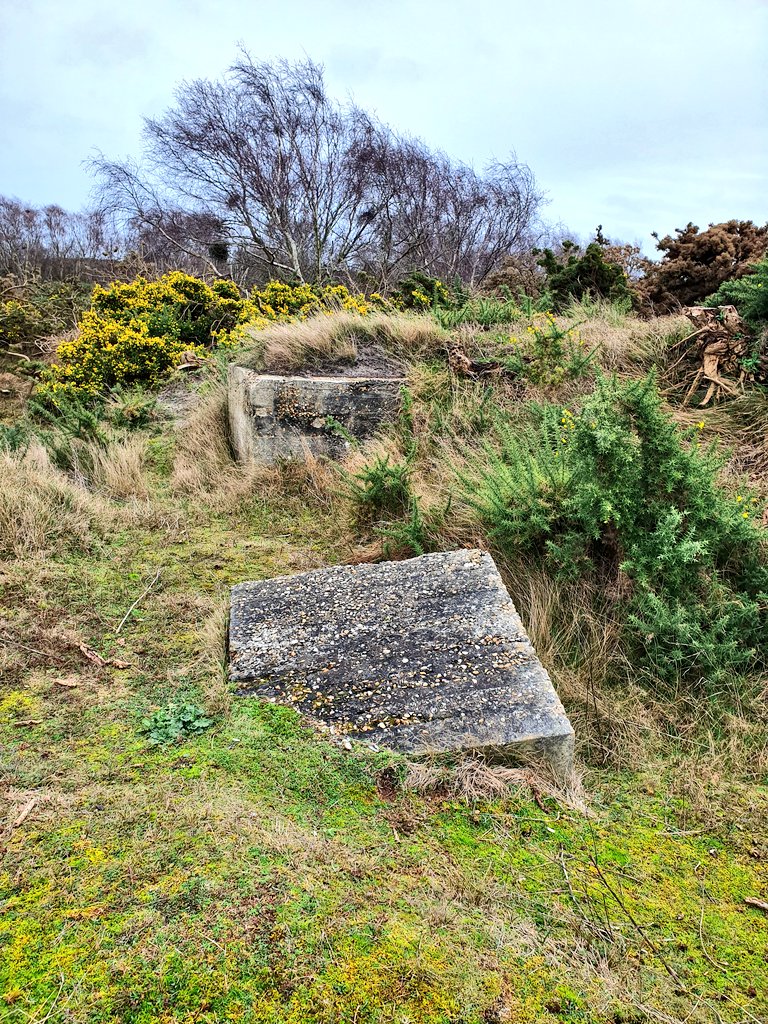 Dragons teeth anti tank blocks