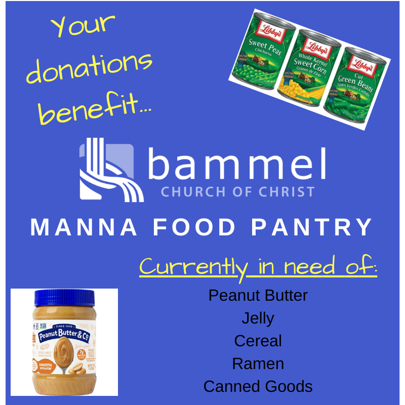 SCCAtweets's tweet photo. Don't forget to bring your non-perishable food donations to our SCCA General Meeting!
You can RSVP to save your spot using this form:
https://t.co/bo1rf0sjwj
#sccatweets #TxCAlocalchapter https://t.co/9c1ZKpGPb7