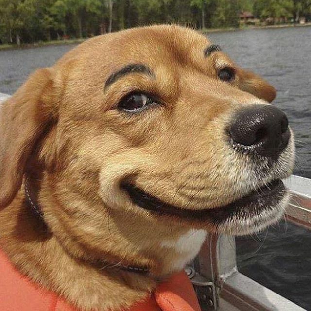 Studio Reko tweet media