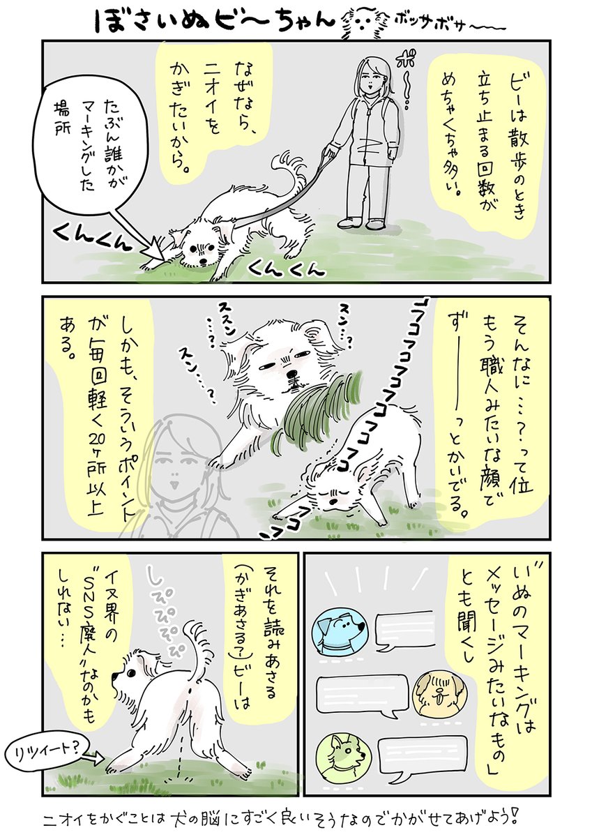 本日の1枚!匂いクンクンが大好きな犬を人間に例えると…!?!?
#コルクラボマンガ専科 #毎日1Pマンガ #犬好きな人と繋がりたい #マルーキー #morkie 