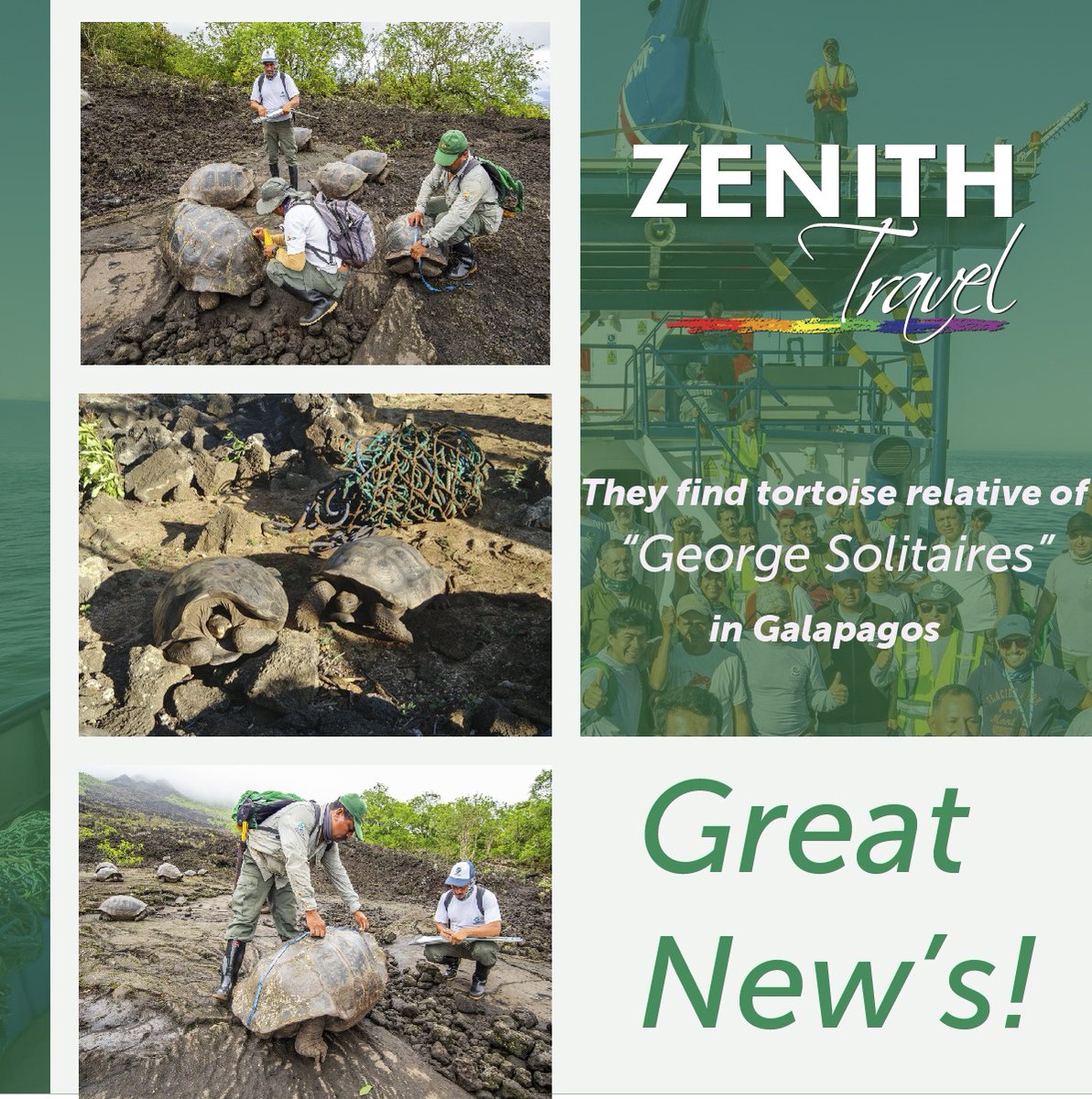ZENITHTRAVEL1's tweet photo. 🚨ATTENTION🚨
Through scientific research 👨🔬 a turtle with a high "genetic load" of the species to which the famous "George Solitaires" belonged was found in Galapagos 🏝 
.
.
 #touroperators #view #travel #traveliving #Ecuador #Tortoise #Galapagos #Wildlife #species #News https://t.co/BBZuLqq3K6