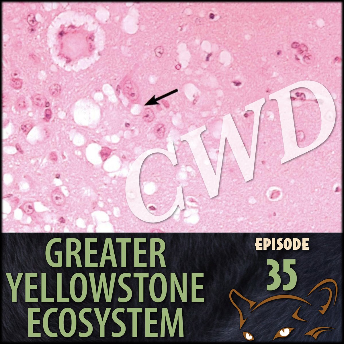 Over half of Americans aged 12+ have listened to a podcast? Have you? If not, you might want to start with our episode on Chronic Wasting Disease: what it is, how it spreads, and how it may affect you. #CWD #Montana  yellowstoneecosystem.com/e/episode-35-c…