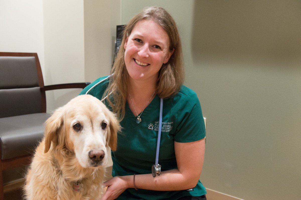CSU Vet Hospital tweet media