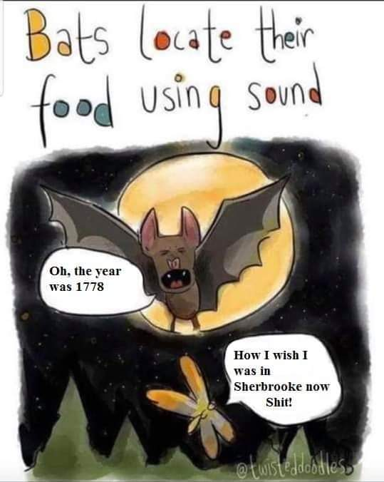 Title: Bats locate their food using sound.
Bat: "Oh the year was 1778" 
Bug: "How I wish I was in Sherbrooke now...shit"