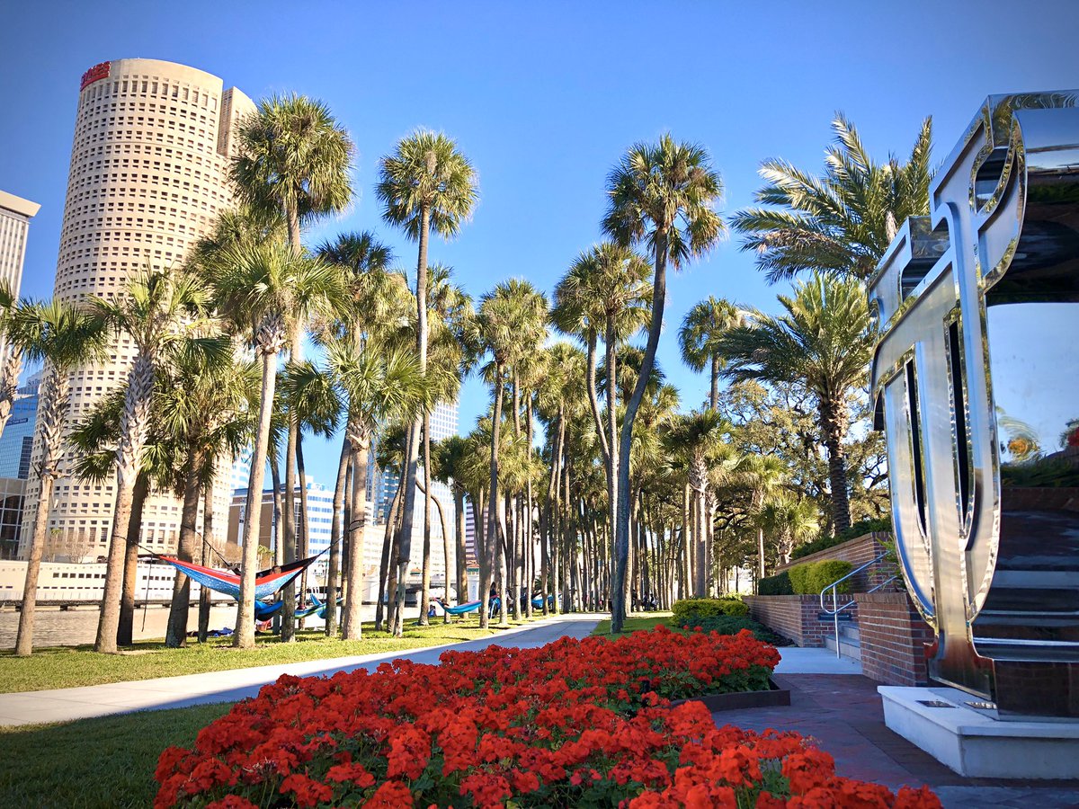 UofTampa's tweet photo. It’s a #hammock kind of day. ☀️🌴 #utampa https://t.co/rv6GfCAiTh