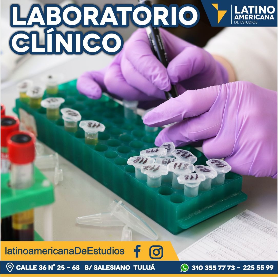 Latinotulua's tweet photo. Inscripciones abiertas https://t.co/AoYC15uRSF