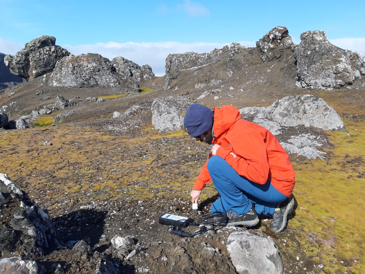 luisrpertierra's tweet photo. Sampling for springtails is mostly a faith leap where we hope for the best. We never know what we are gonna get after an usually long trip, but early detection of alien species in Antarctica relies on systematic monitoring. #AntecoSPA @PabloEmberiza 
https://t.co/nodns5Rxv2 https://t.co/sirKxrp43o