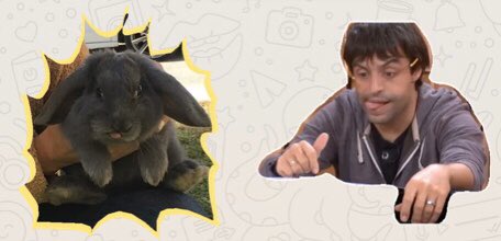 NGaleras's tweet photo. Who is the cutest?
Manu: fav
Rabbit: rt

@ManuGuix #OTDirecto2F https://t.co/E3fv0xyz9t