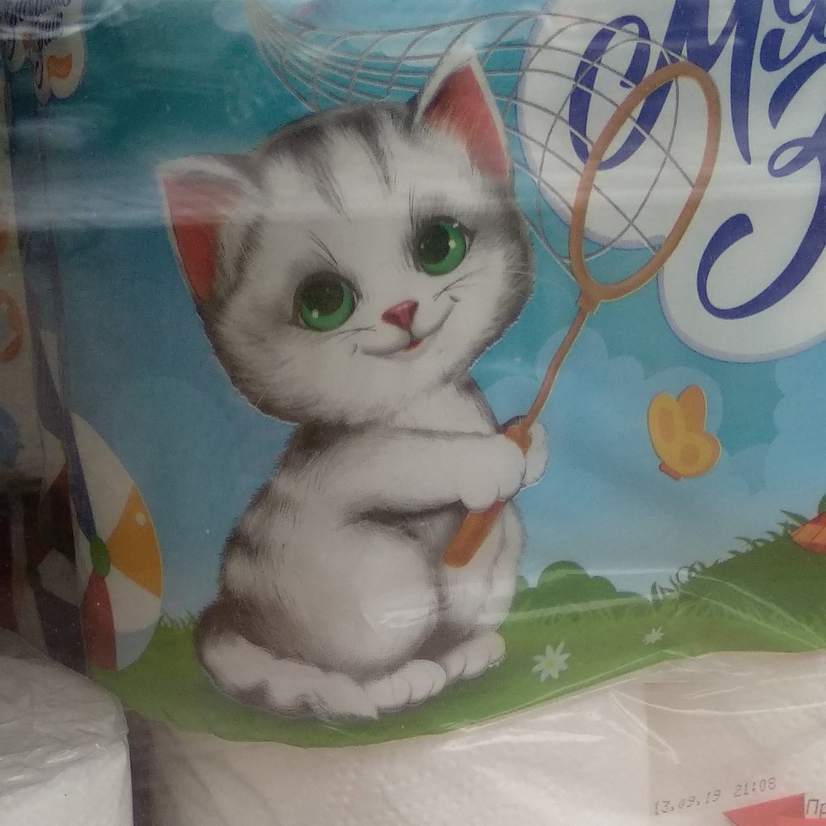 ohohtimur's tweet photo. Если вы такой же милый как этот котенок то приходите 15.02 на мое выступление в шелтере https://t.co/i1v9Hc8rRZ