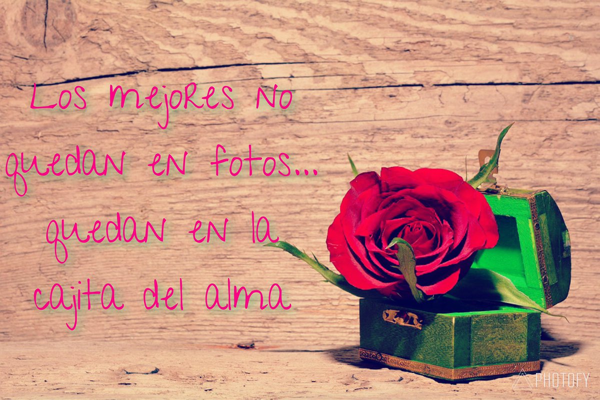 MagnificatLa's tweet photo. #FelizLunes #OrAcción #BendecidoDía #amor #fe #ViveLaTransformación #ora #gratitud #cariño #amorincondicional #paz #OraenFamilia #love #luz #ViveElEvangelio #alma #VirgenMagnificat #amor #bendicionesinfinitas ✨✨✨❣️🥰🙏🏻🌹📿🌹🙏🏻🥰❣️✨✨✨ https://t.co/VwLxmCluCf