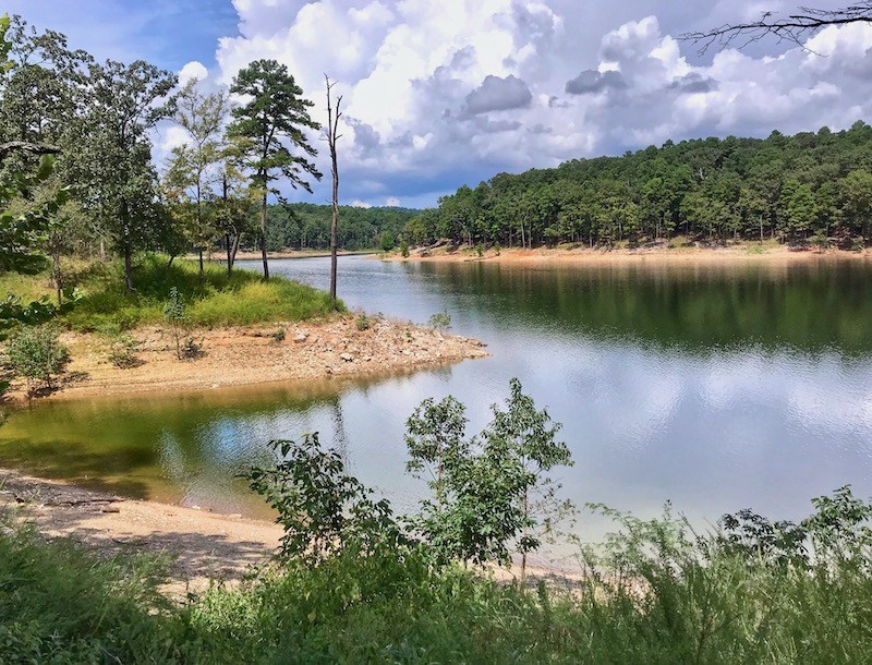 Month in Review: January 2020 thetastyescape.com/month-in-revie…