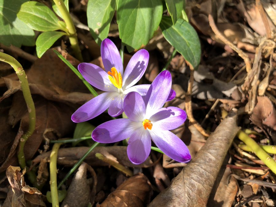 View image on Twitter