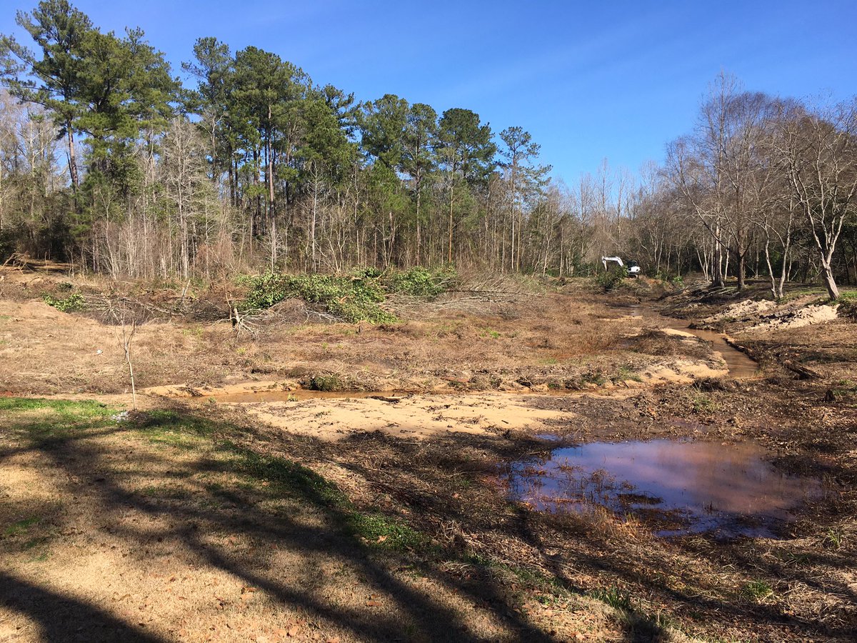 RobBeene's tweet image. Just a little Monday morning land clearing.