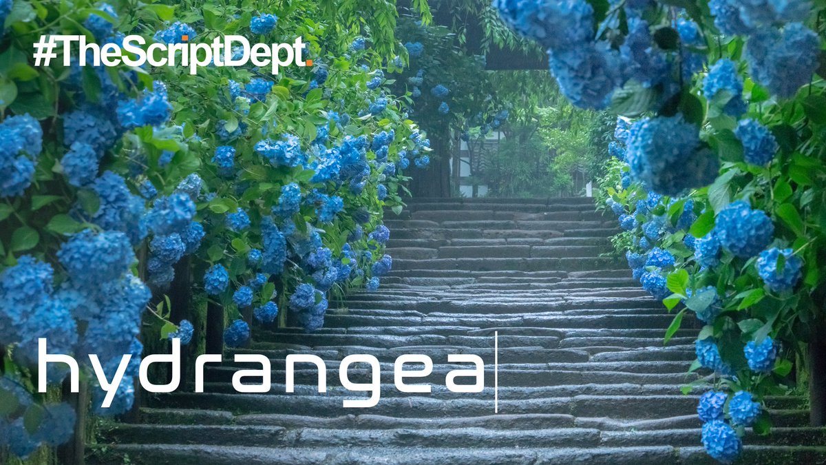TheScriptDept's tweet photo. Our new episode, Hydrangea is now available on The Script Department podcast. Part 1 of a 2-part Sci-Fi drama written and read by @MaxGee1284
https://t.co/HpprjmNYaK
#TheScriptDept #Screenwriting #Research #Stories #SciFi #ScriptedPodcast #Podcasts #Scriptwriting https://t.co/2yVBYQBMRR