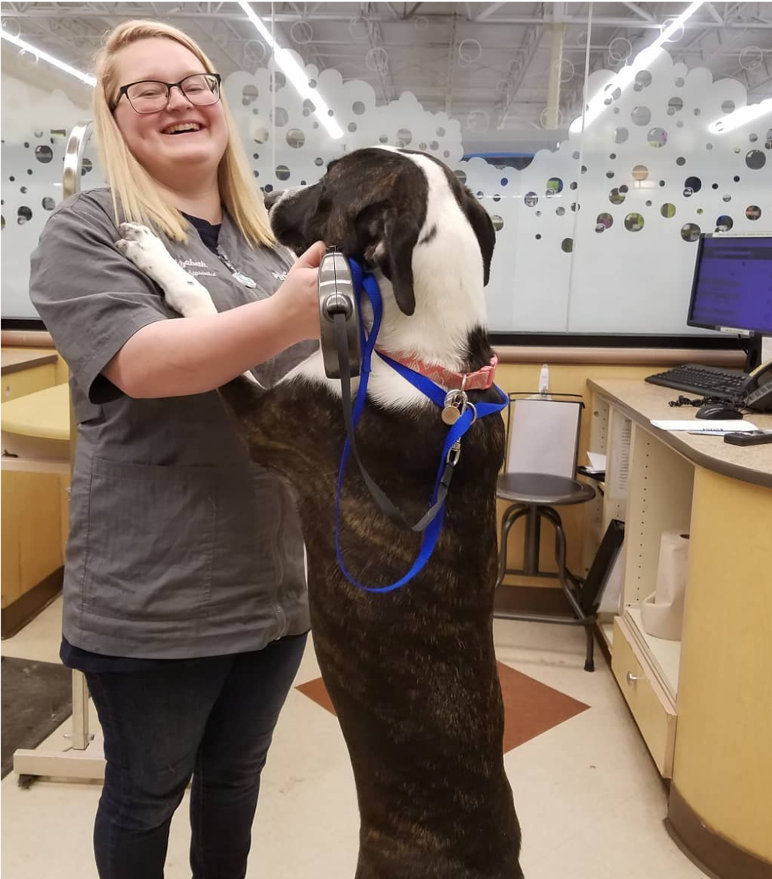 Life At PetSmart tweet media