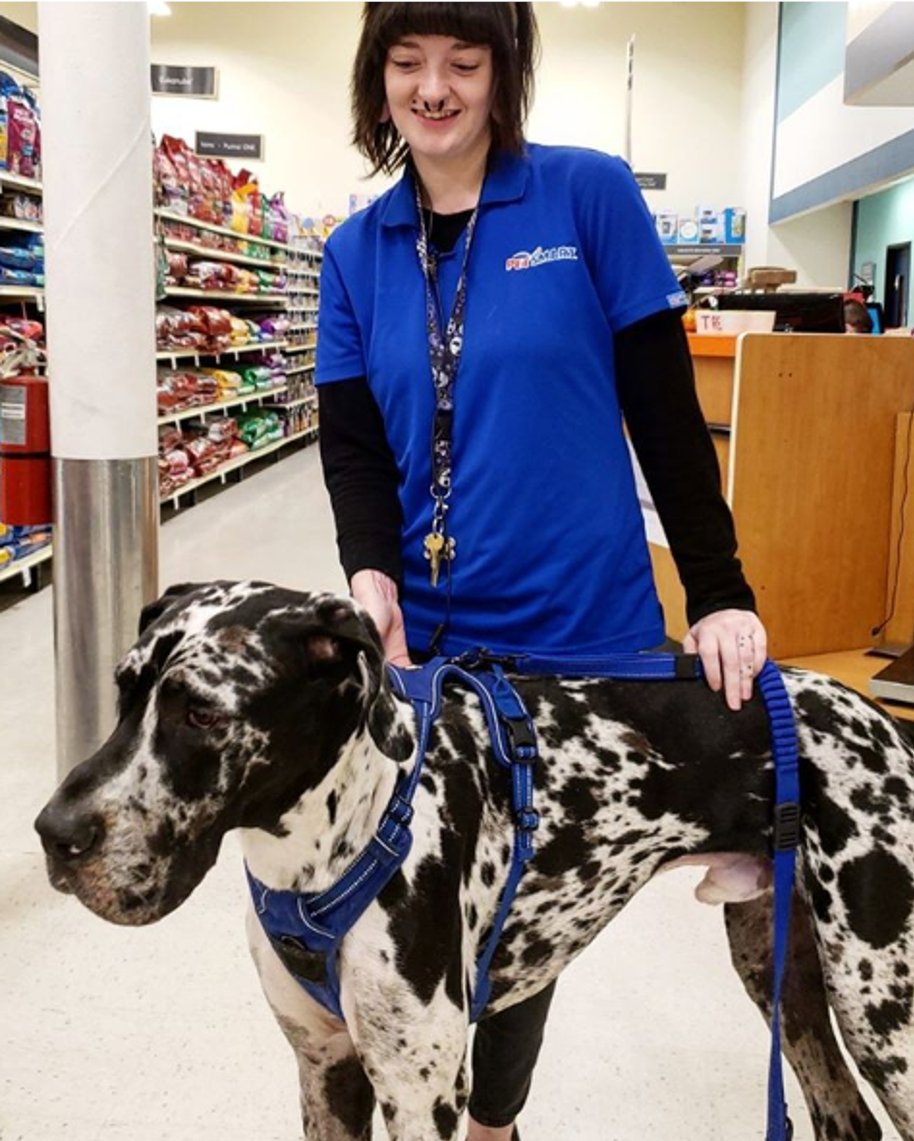 We've got some BIG news! We're hiring retail AND salon positions! Now is your chance to join the fun within #LifeAtPetSmart! Head on over to careers.petsmart.com to learn more.
📸: petsmart.balcones, petsmart_rivercity