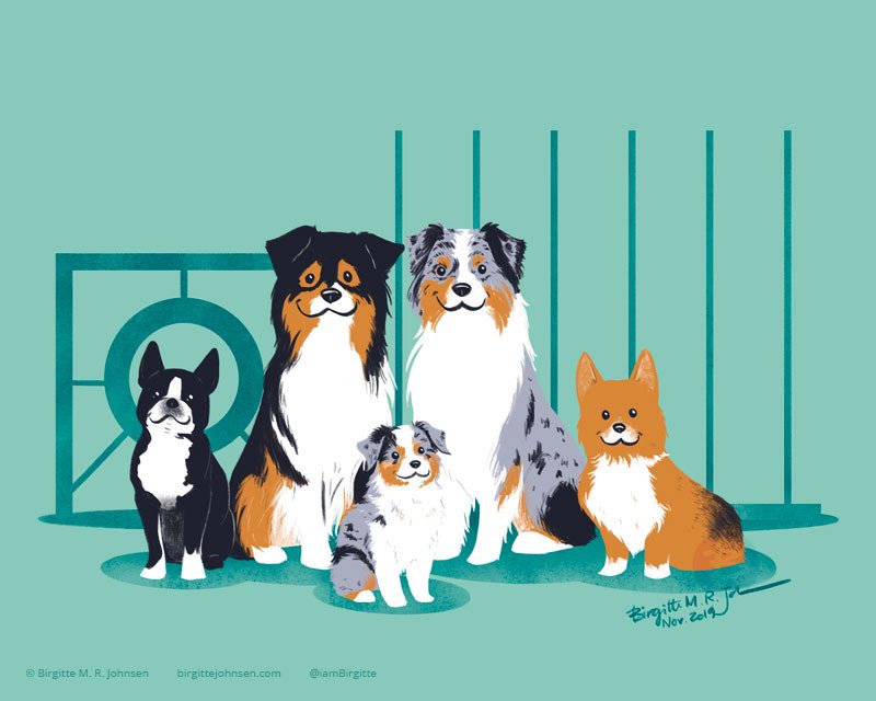 Stylised portrait of five agility and show dogs in front of agility equipment.