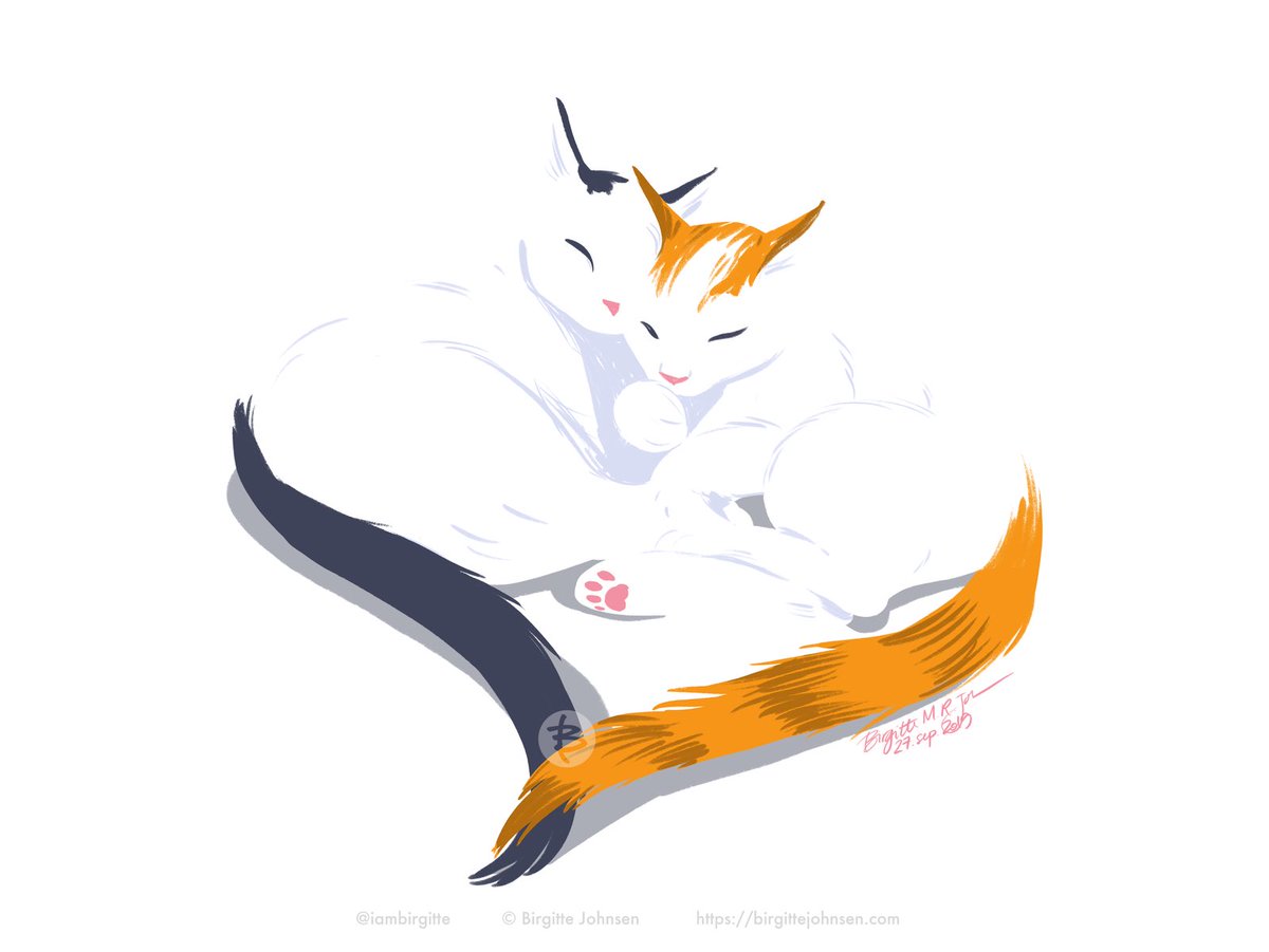 Two Turkish van cats snuggled up and resembling a heart shape.