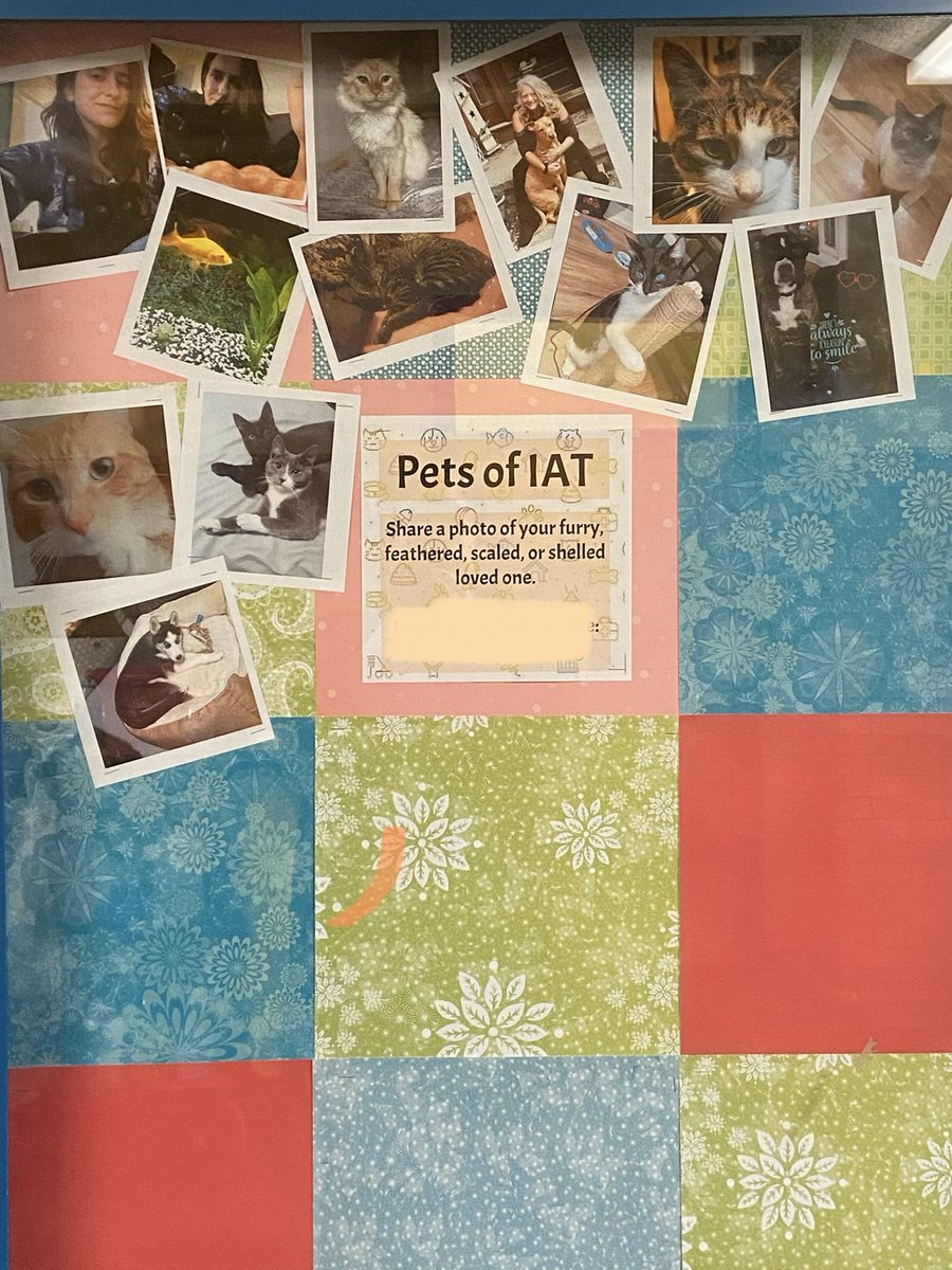 LaPucelle32's tweet photo. Work in progress: pets of @RCSDIAT staff and students are invited to share photos. Building relationships through our love of animals #iathspride #rcsdonefamily https://t.co/7Y4n7ZSKQG