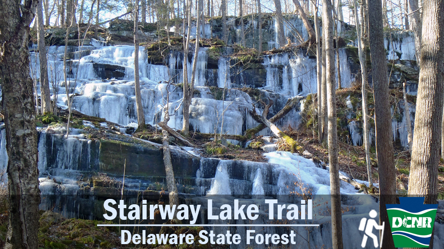 Stairway Lake Trail Delaware State Forest