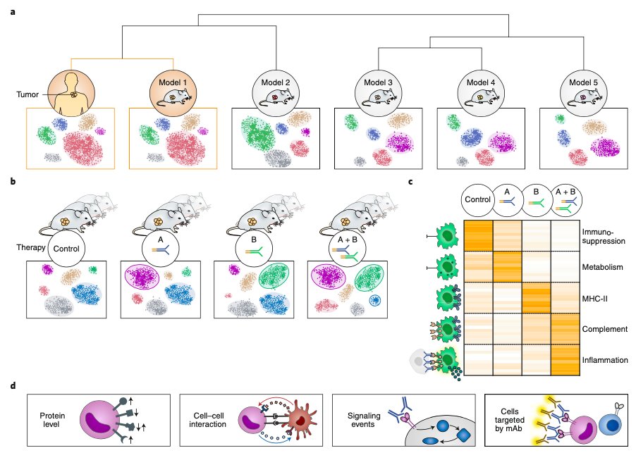 Single-cell analysis as an engine for driving drug development