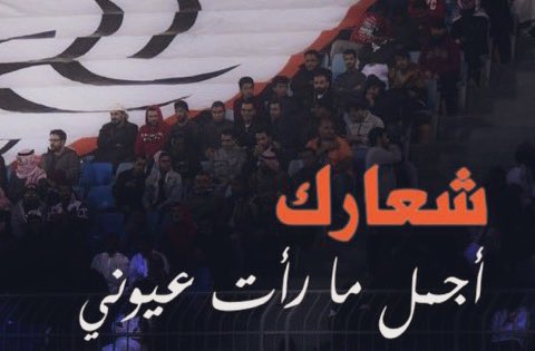 Abo wseem tweet media