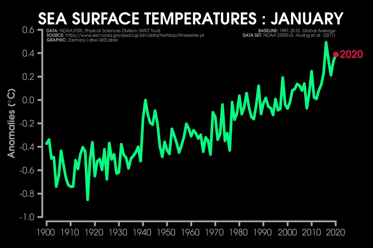 Line graph time series of global mean sea surface temperature anomalies for January since 1900