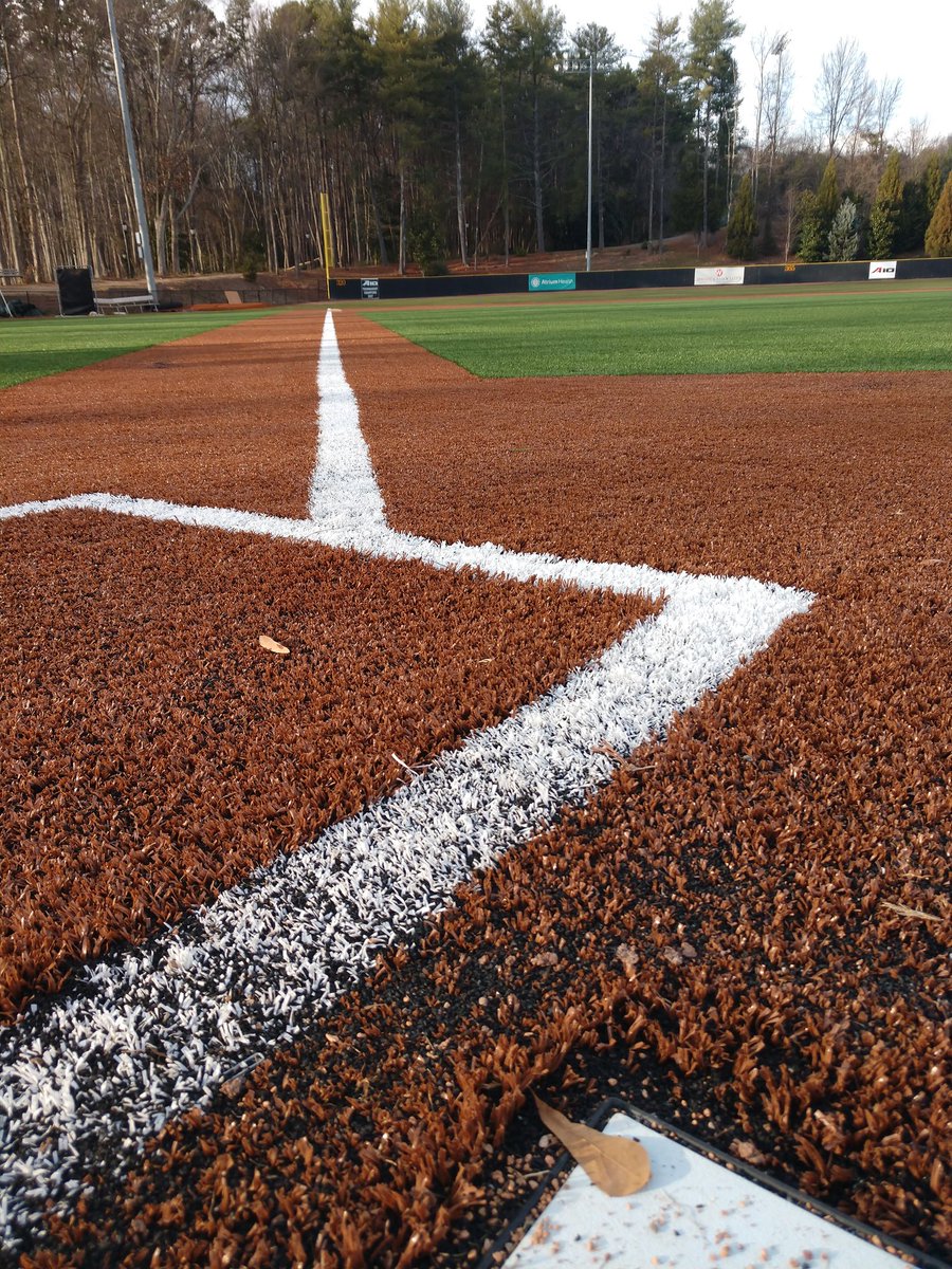 Davidson Baseball tweet media