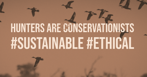 fieldandgame's tweet photo. #Australiasmostsurprisingconservationists https://t.co/KZZkeojAqf