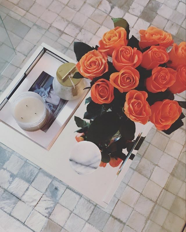 CATCI_designs's tweet photo. Roses are my our new thing 🌹
.
#rose #roses #catcidesigns #urbanjungle #urbanjunglebloggers #plantlove #flowers #interiordesign #plantdecor #plants #pusspuss #pusspussmagazine #orange #peach #anthropologie #catsandplants #plantsandcats #bathandbodywo… https://t.co/23G1J5kPnw https://t.co/IHPWSPAj14