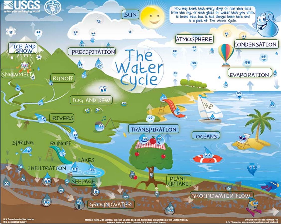 screen shot of the intermediate water cycle diagram
