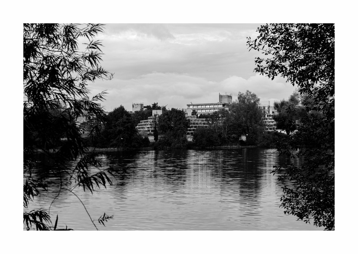 Alexis Grimshaw tweet media