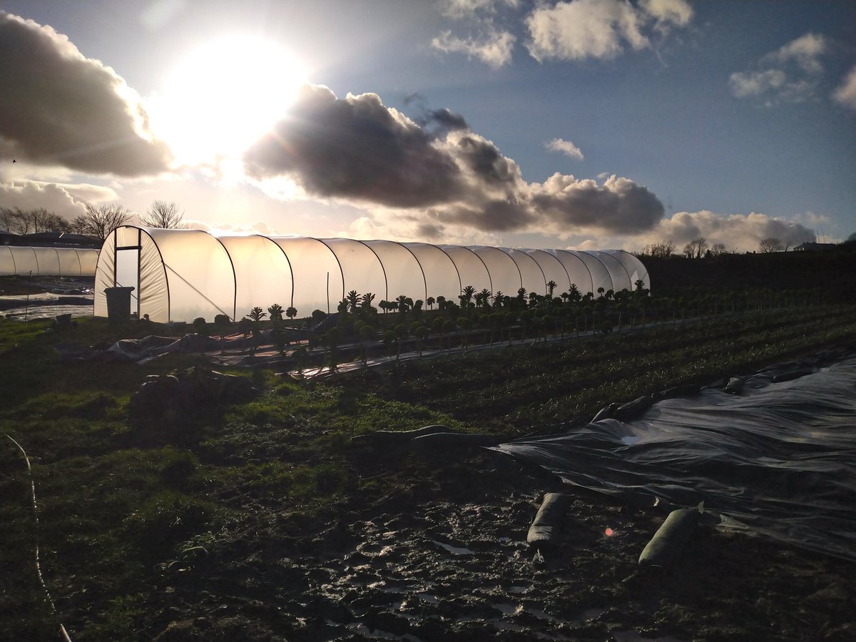 RatheniskaFarm's tweet photo. Spring is in the air 🌱🥕🐣 #eatclean #eatgreen #eatlocal #ratheniskafarm #laois #springtime https://t.co/wZt5W7jUOu