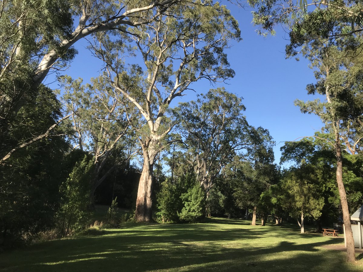 Belair National Park in the early morning.