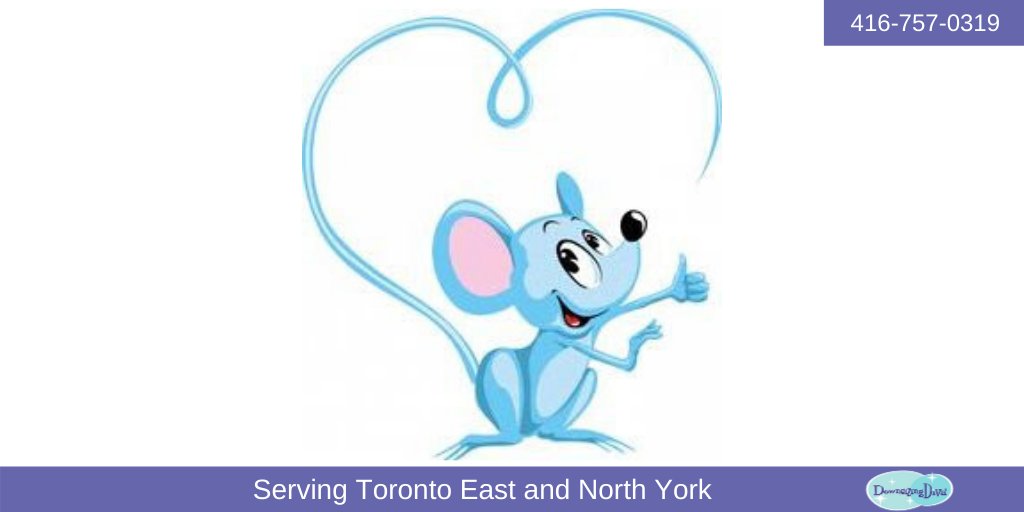 DownsizingDiva's tweet image. “Of all the words of mice and men, the saddest are, "It might have been.” ― Kurt Vonnegut #downsizingToronto #declutterToronto #seniormovespecialist