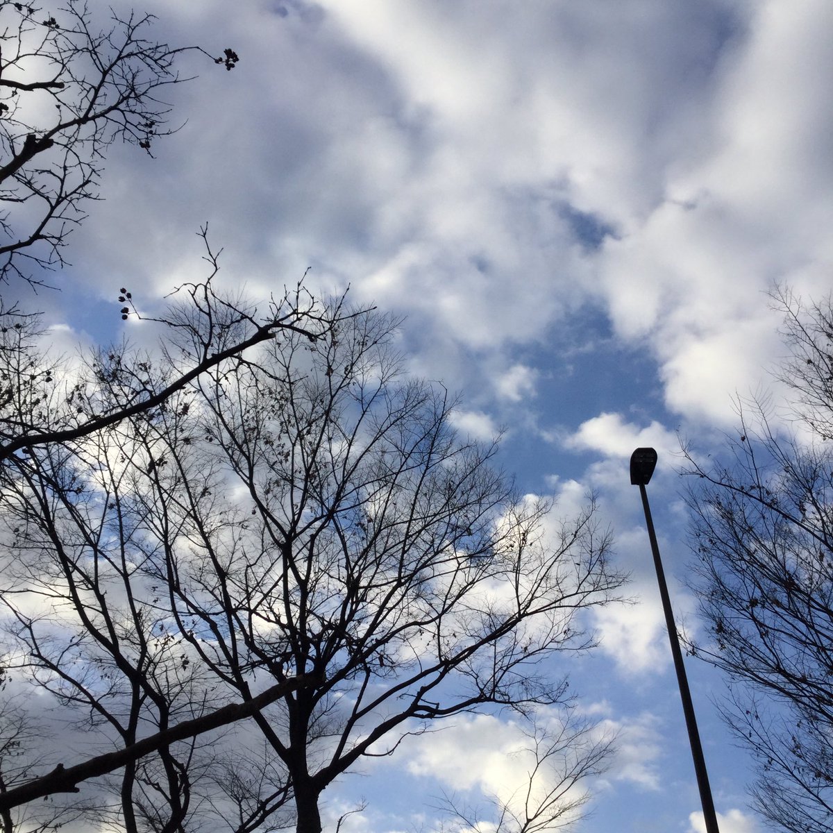 tonpyo's tweet photo. おはようございます。
今朝の横浜市は曇っています。
今日は火曜日、2020年2月4日です。
Good morning.
It’s cloudy morning in Yokohama City.
Today is Tuesday,February 4,2020.
#calendar
#yokohamacity
#japan
#orange
#brokennumbers
#日めくりカレンダー
#富山市
#みかん
#壊れた数字 https://t.co/UAyIpWwwus