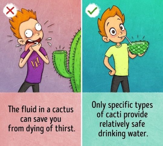 S B Magazine tweet media