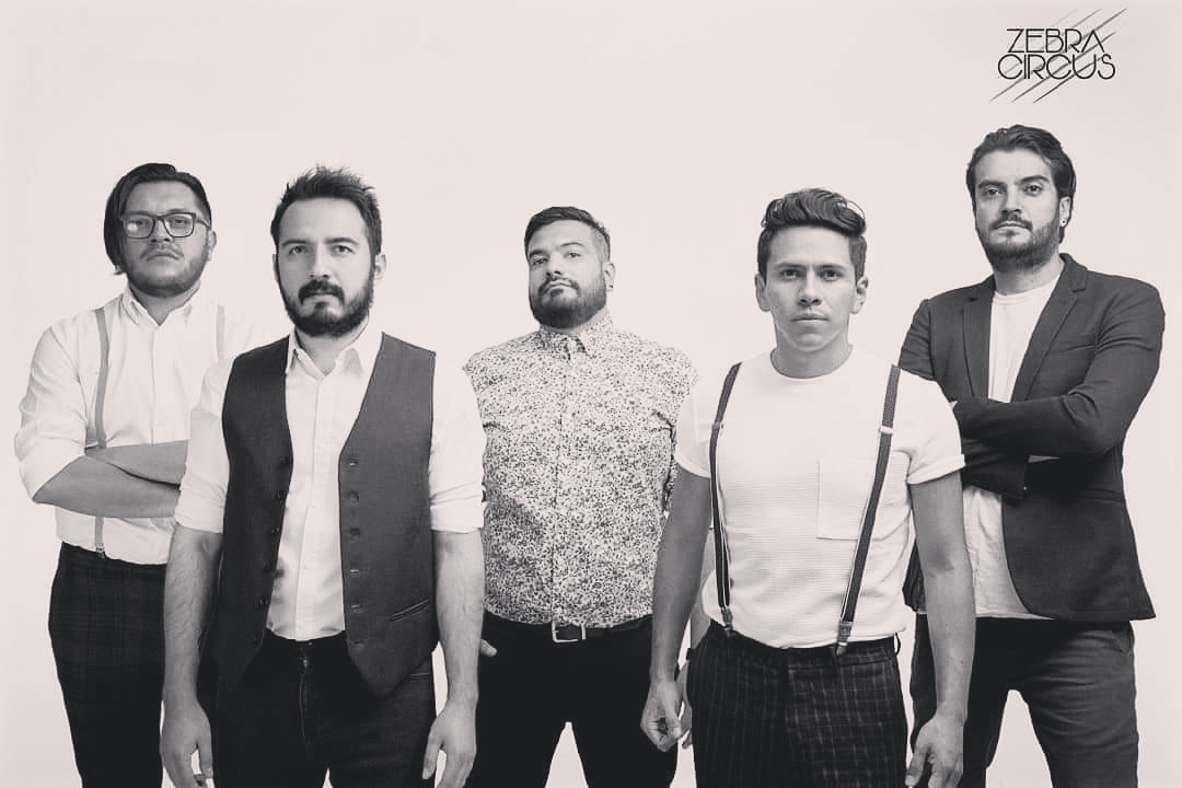 ZEBRA CIRCUS tweet media