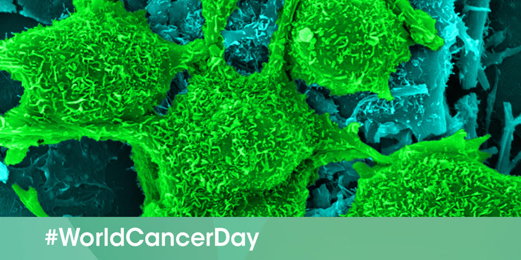 CentenaryInst's tweet photo. #Cancer affects all of us but together we can make a real difference. On this #WorldCancerDay take a moment to find out more about the life-changing and life-saving research that we do here at the Centenary Institute. https://t.co/r7PCXJQMX2 #UnderstandingDisease #FindingCures https://t.co/22B14icF5H