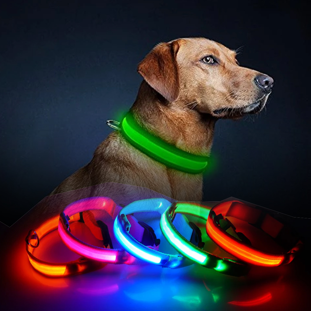 picallot's tweet photo. 🐕🐕 Some collars may be pretty but this one is not just that. It’s probably one of the safest inventions and it can literally SAVE your dog’s LIFE.
#petinstagram #doglover #dogsofinstagram #catlover
$15.00 USD ONLY
https://t.co/wzp5falTa4 https://t.co/Iig4oQp3Rx