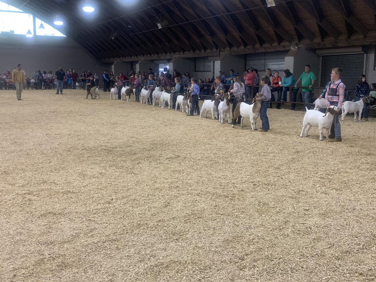 MSUExtService's tweet photo. We’ve had a great day at the Dixie National Junior Round-Up today! We have three more exciting days to go! Thank you for following along today! Hope you enjoyed the agent takeover! If you want, follow @zachyow to keep up with all the Extension happenings in Tishomingo County! https://t.co/z4lEMnUoSl