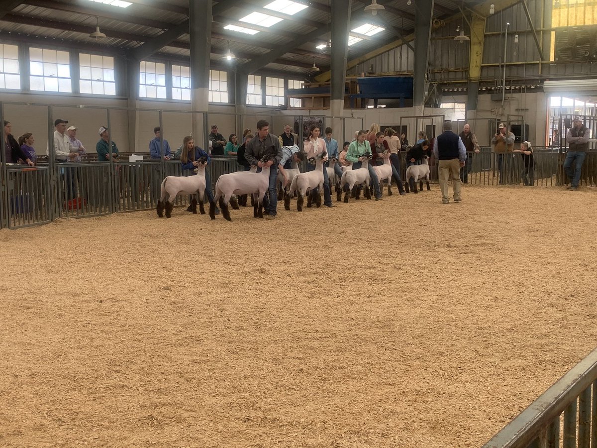 MSUExtService's tweet photo. We’ve had a great day at the Dixie National Junior Round-Up today! We have three more exciting days to go! Thank you for following along today! Hope you enjoyed the agent takeover! If you want, follow @zachyow to keep up with all the Extension happenings in Tishomingo County! https://t.co/z4lEMnUoSl