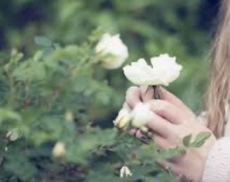 بين أنفاسي أحمل أماني جميلة، وحنين لغد أروع، كل ما احلم به، سأغلفه بصدق نيتي وأبعثه إلى السماء بتراتيل دعاء خفيه
"رب قد فوضت لك أمري"