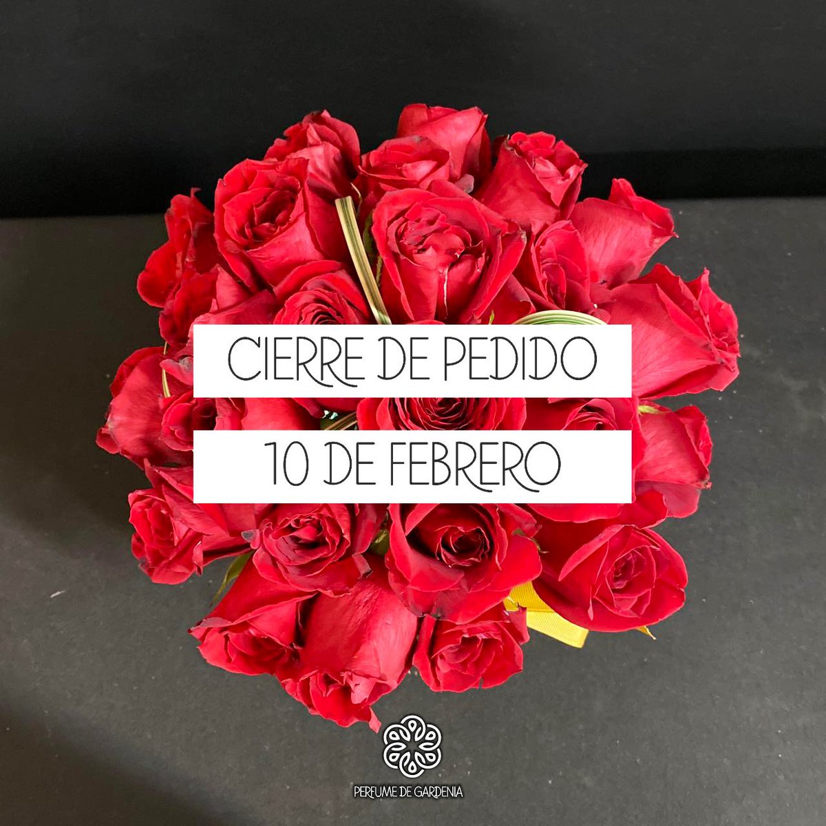 aracelysalast's tweet photo. Les comparto Perfume de Gardenia💐, es un proyecto personal el cual nace de la idea de que una de las mejores maneras para demostrar los sentimientos es con flores, puedes realizar tus pedidos para este 14 de Febrero vía DM♥️
En Instagram como perfumedgardenia https://t.co/G1ritmKvTu