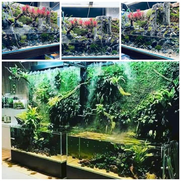 Aquascapes Hashtag On Twitter