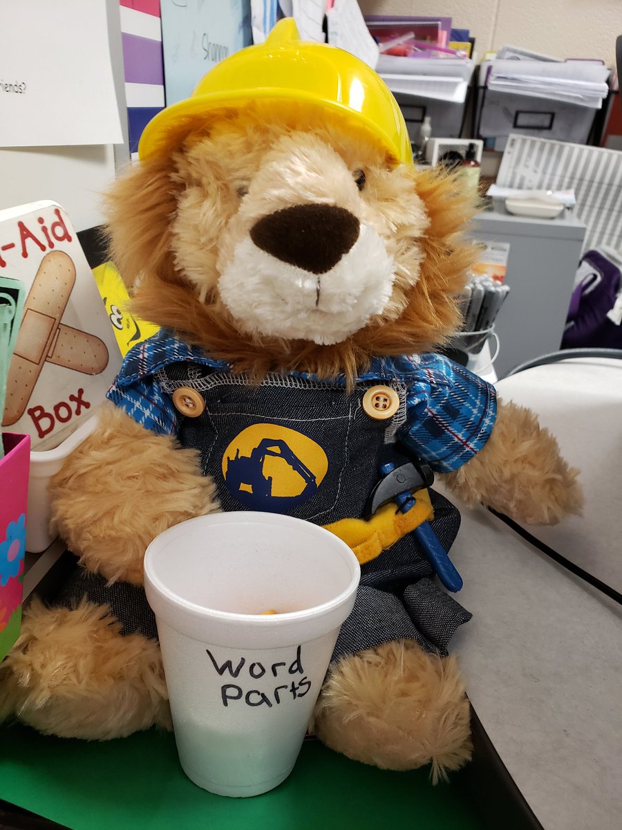 Shannon Mechell tweet media