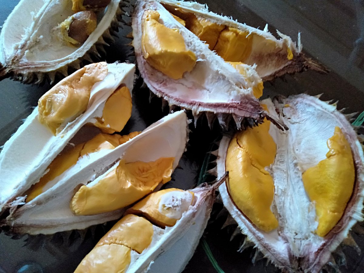 KikiHakim4's tweet photo. Pagiiii....apa kbar...ayo kita sarapan...sarapan ku pagi ini yg bau bau enak....hayuuu .🤤🤤

#Janganprotes https://t.co/cQ8ummWFub
