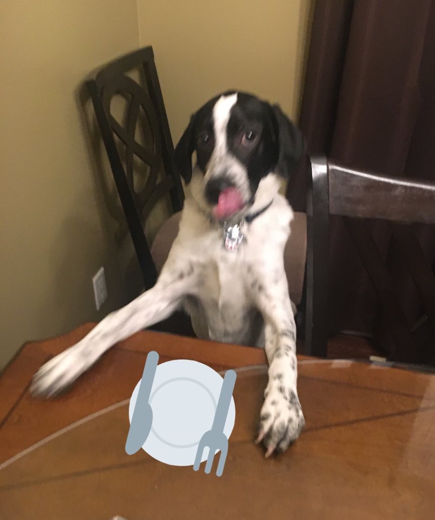 Micky at the dining table