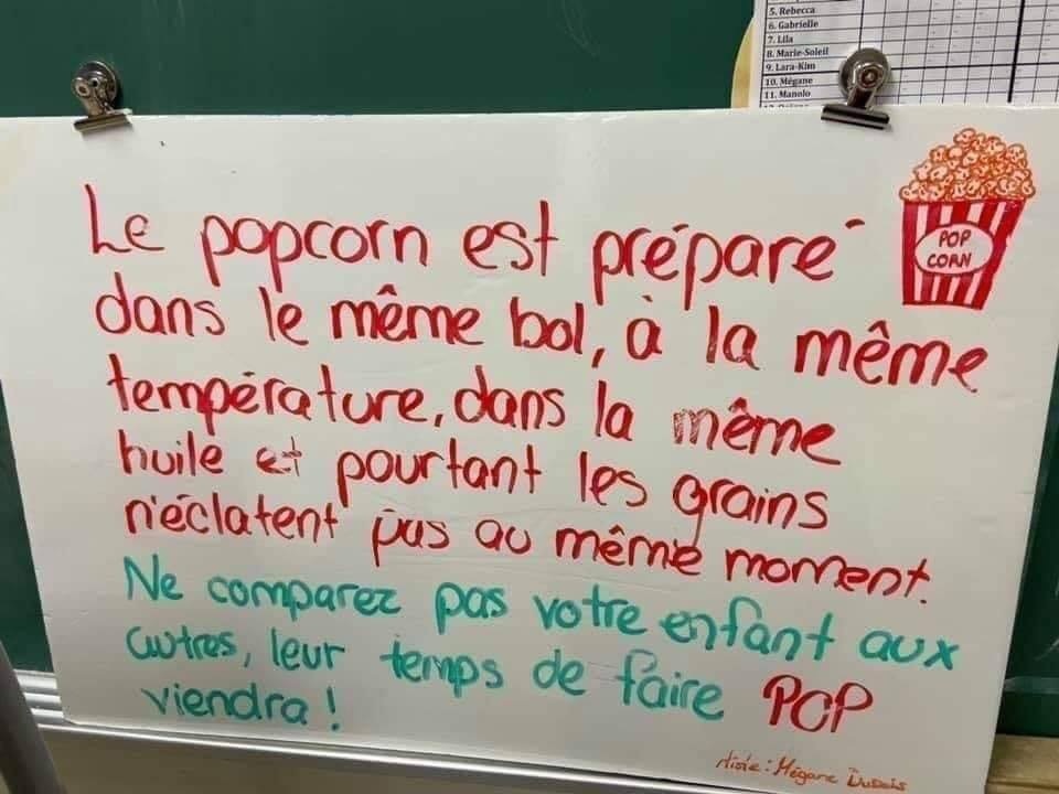 PelletierCloe's tweet photo. Une petite trouvaille sur Facebook. J’adore le message qui en est tiré : tes élèves ne comprendront pas tous en même temps, mais ils y parviendront! Il ne faut jamais baisser les bras! #PED4750 #perseverance https://t.co/uQQOD2cUzF